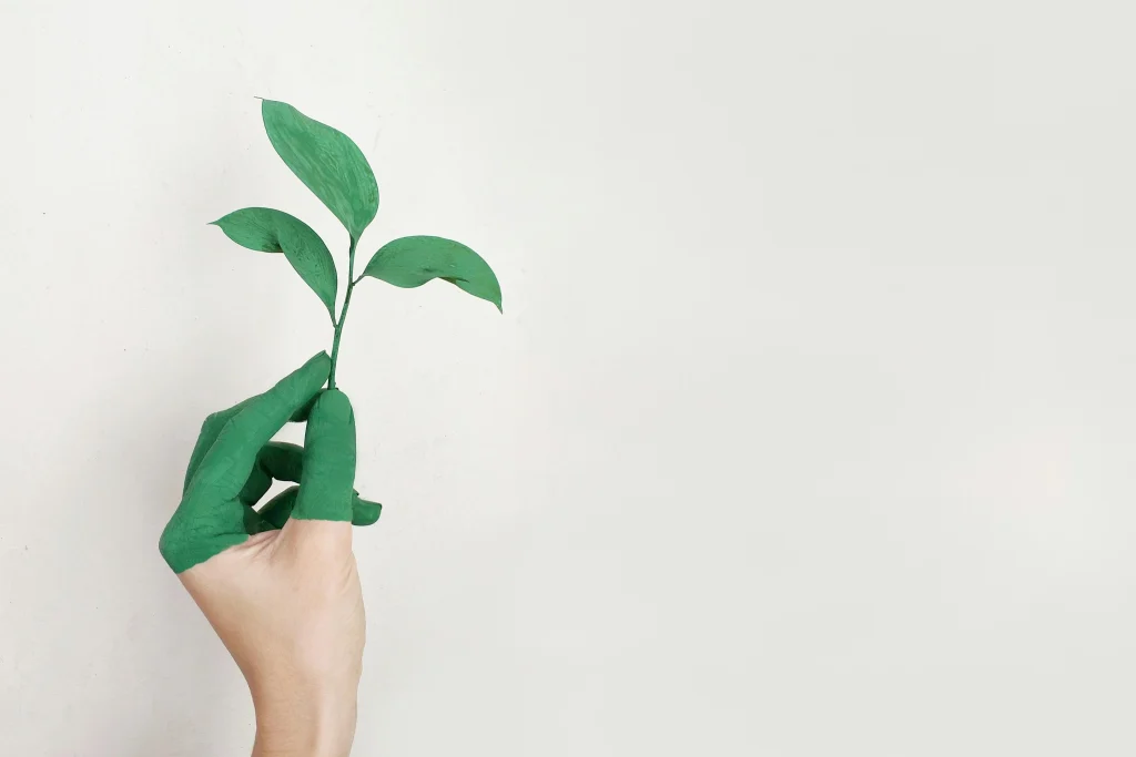 growth